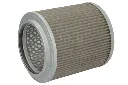 EY1008H Hengst